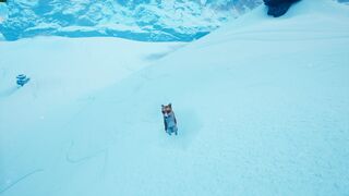 Spirit of the North
