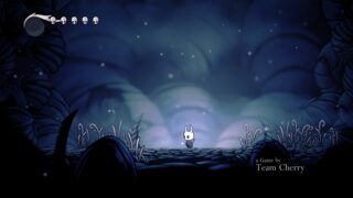Hollow Knight