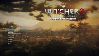 Witcher 2