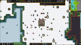 Dwarf Fortress